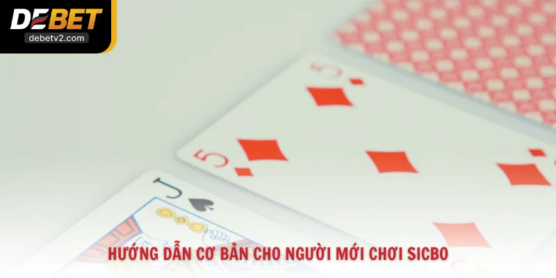 Hướng dẫn cơ bản cho người mới chơi Sicbo