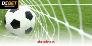 Kèo Chấp 0.25 Là Gì? Bí Kíp Soi Kèo Đồng Banh Nửa Trái